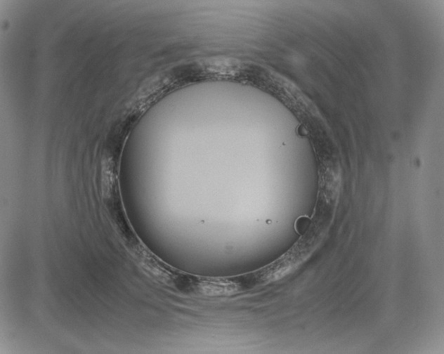 X0000083620707200702260953