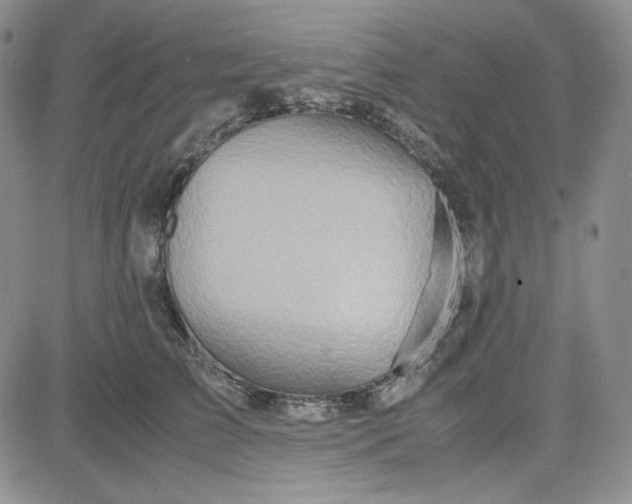 X0000083620709200702260953