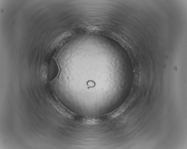 X0000083620710200702260953