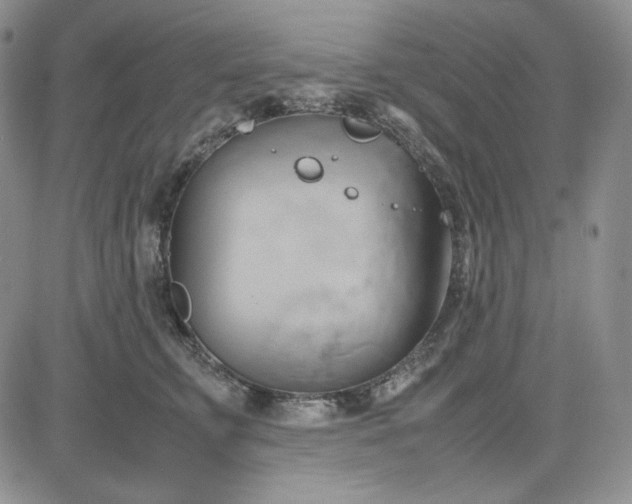 X0000083620711200702260953