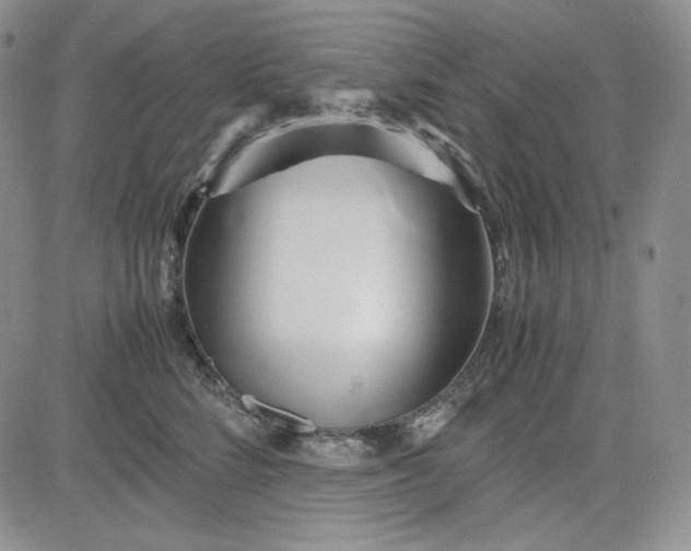 X0000083620712200702260953