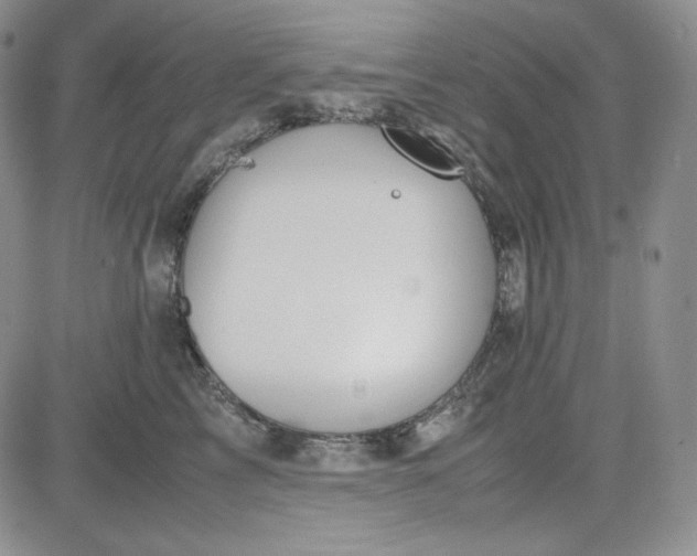 X0000083620713200702260953