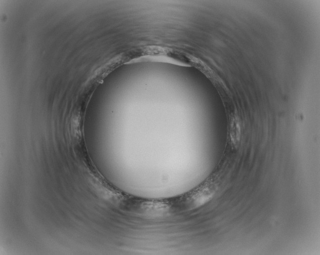 X0000083620714200702260953