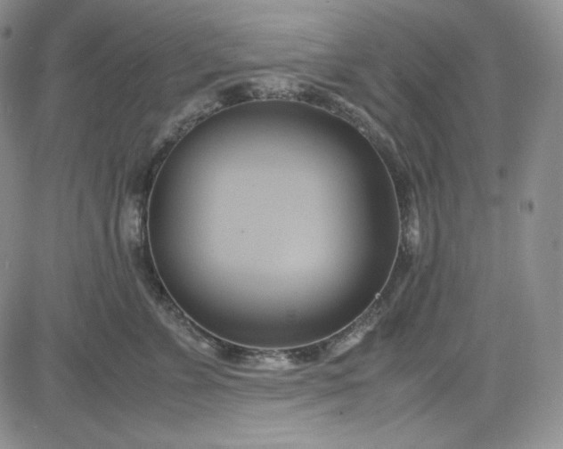 X0000083620715200702260953