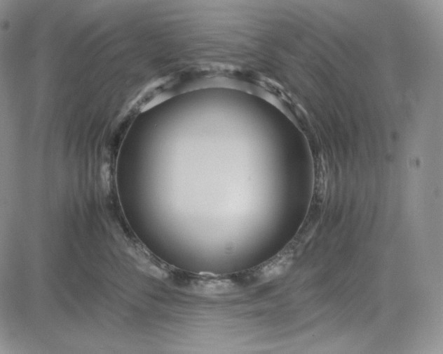 X0000083620716200702260953