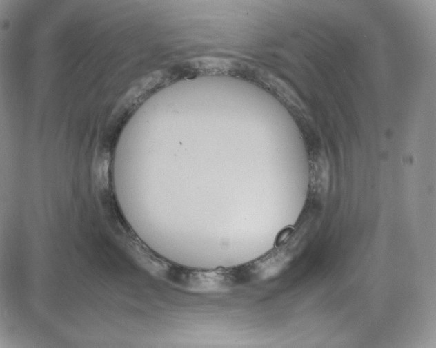 X0000083620717200702260953