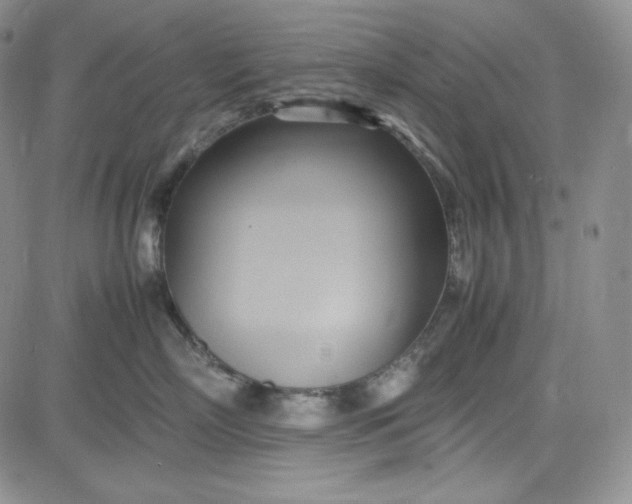 X0000083620718200702260953