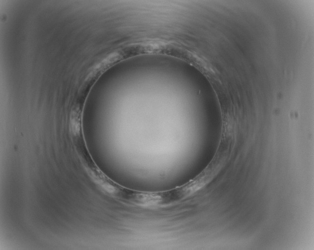 X0000083620719200702260953