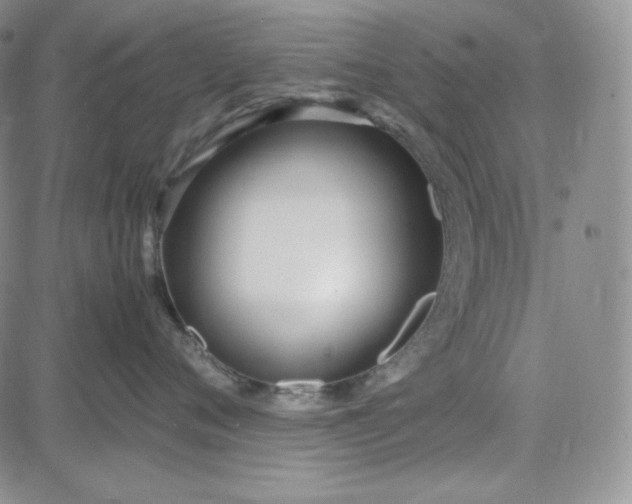 X0000083620720200702260953