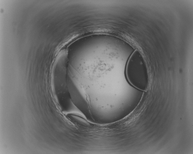 X0000083620721200702260952