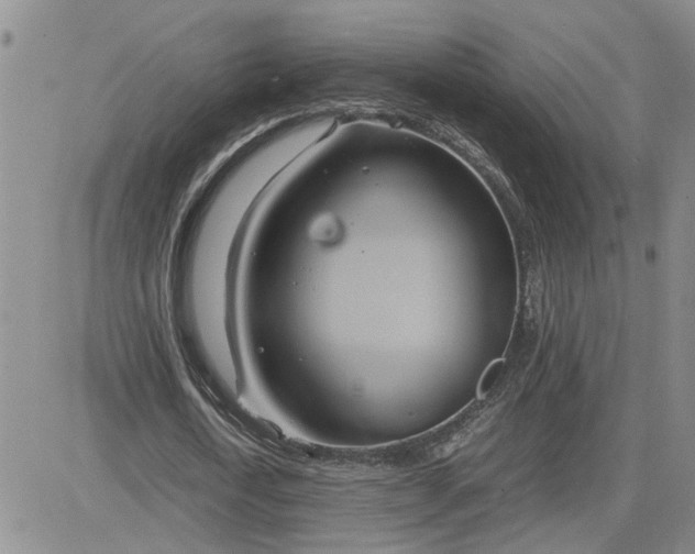 X0000083620722200702260952