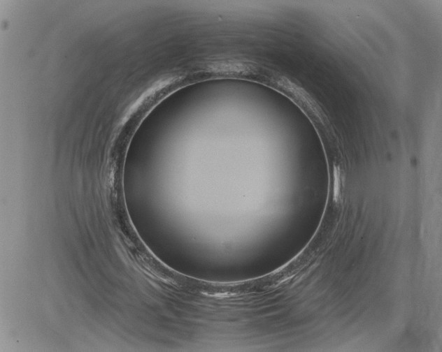 X0000083620723200702260952