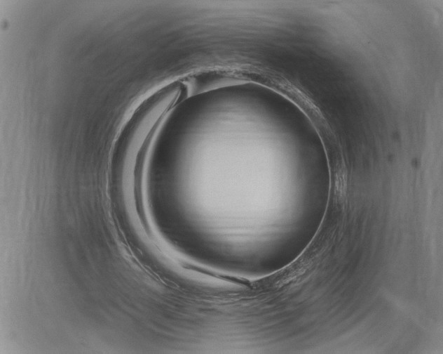 X0000083620724200702260952