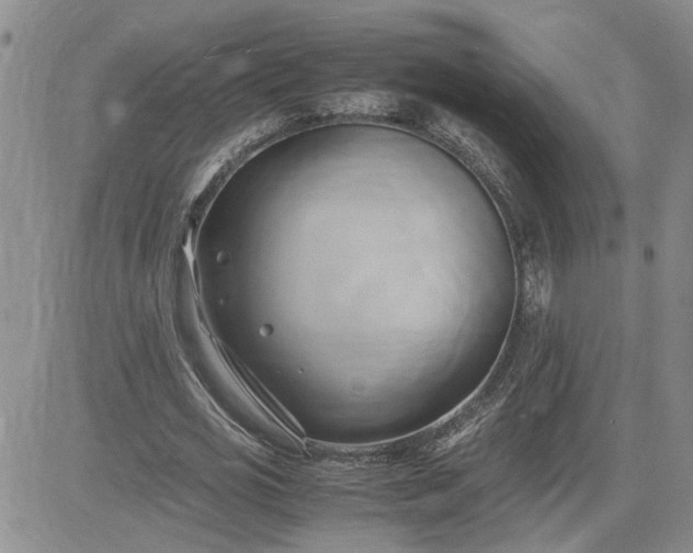 X0000083620725200702260952