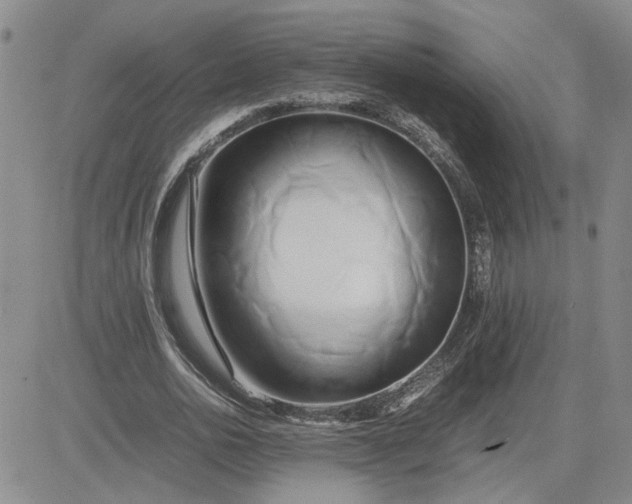 X0000083620726200702260953