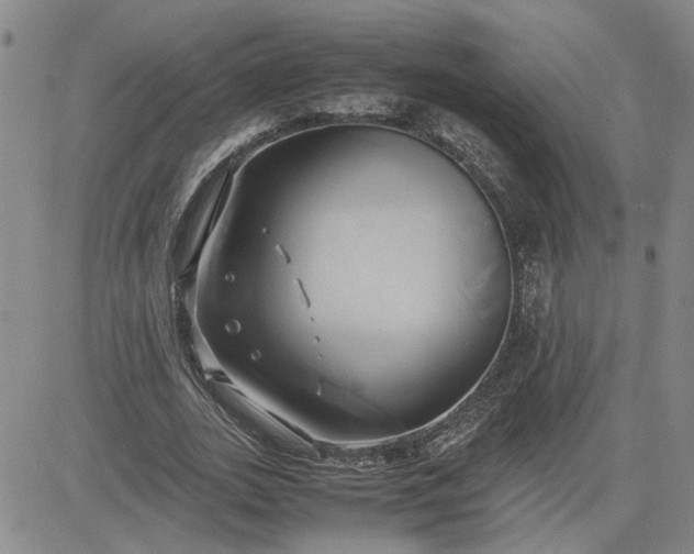 X0000083620727200702260953