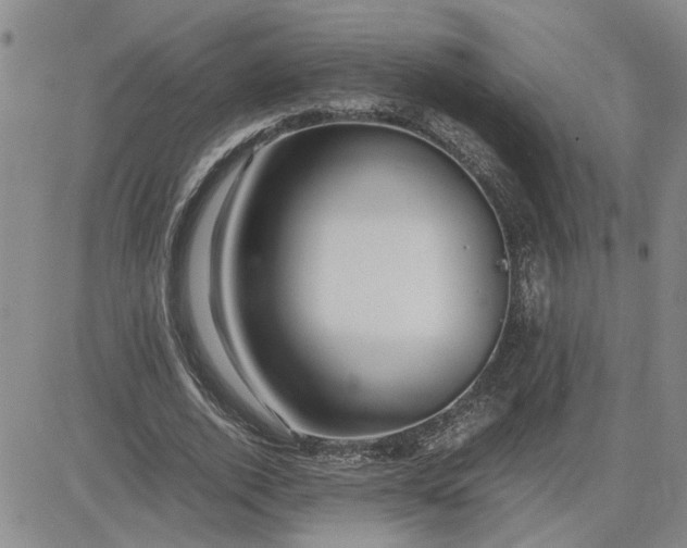 X0000083620728200702260953