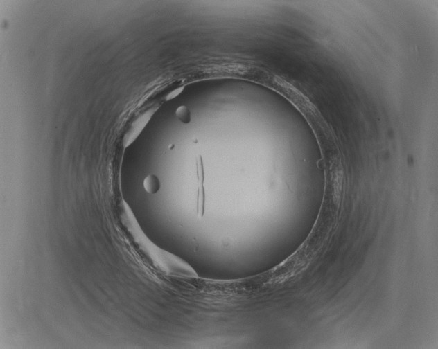 X0000083620729200702260953