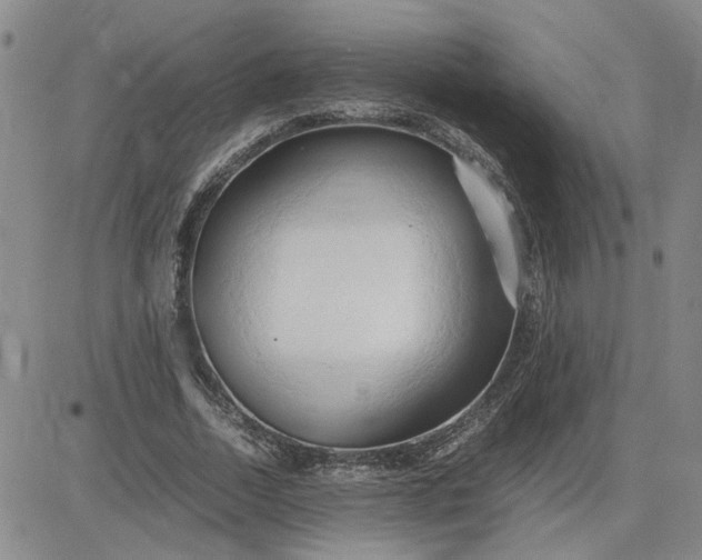 X0000083620730200702260953