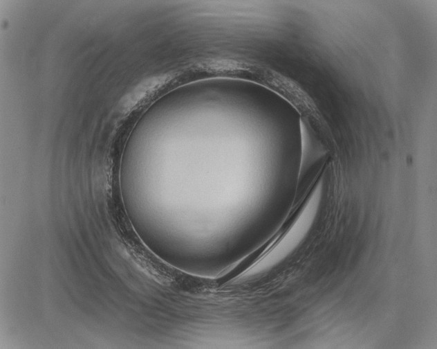 X0000083620732200702260953