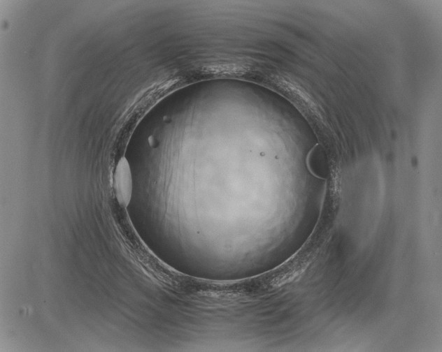 X0000083620733200702260953