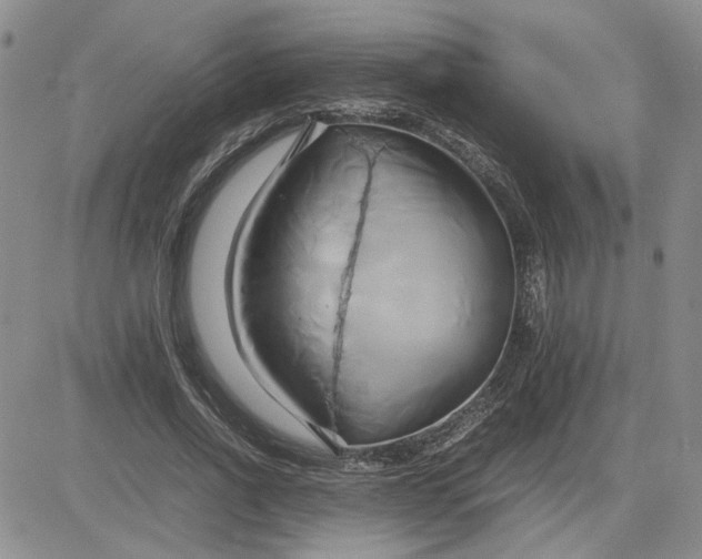 X0000083620734200702260953