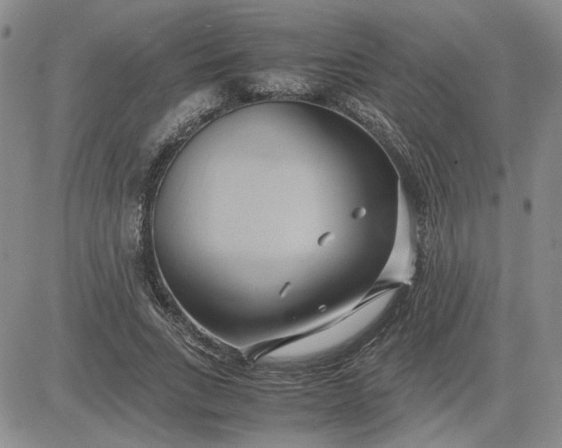 X0000083620735200702260953