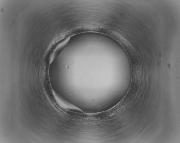 X0000083620736200702260953