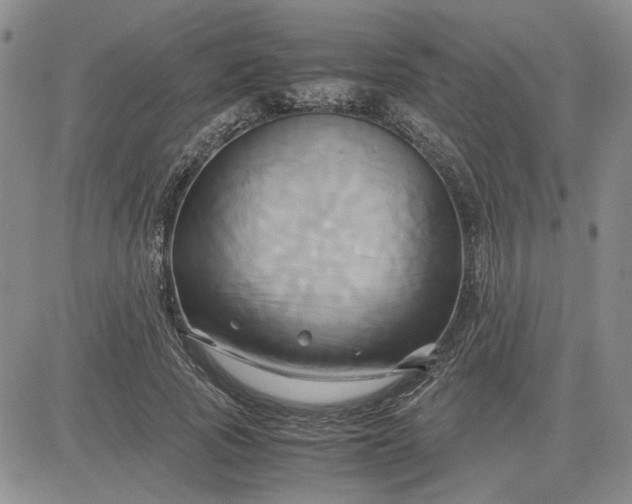 X0000083620737200702260953