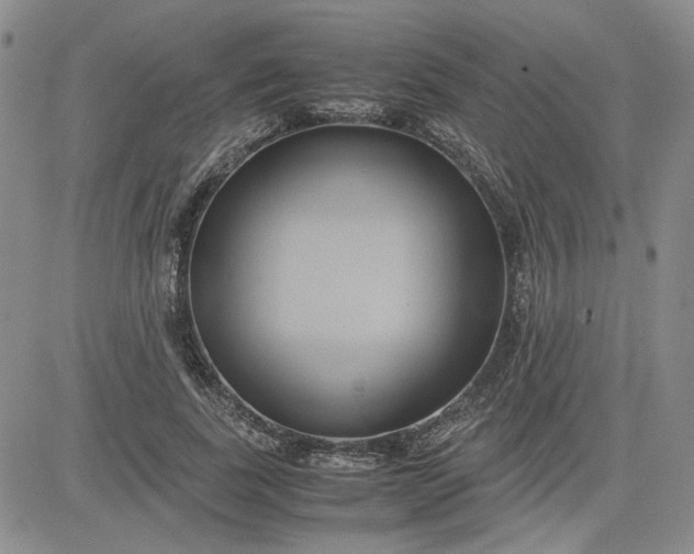 X0000083620739200702260953