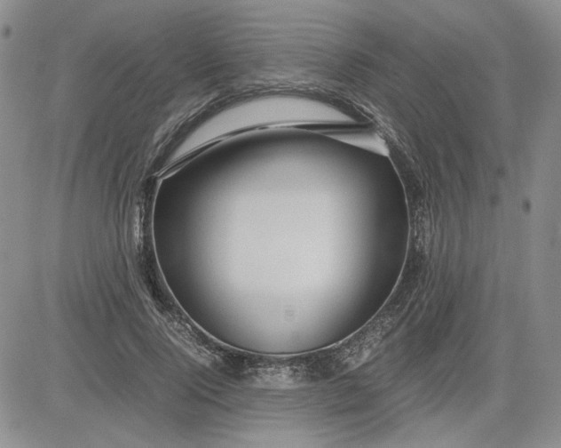 X0000083620740200702260953