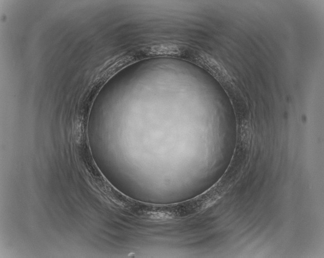 X0000083620741200702260953