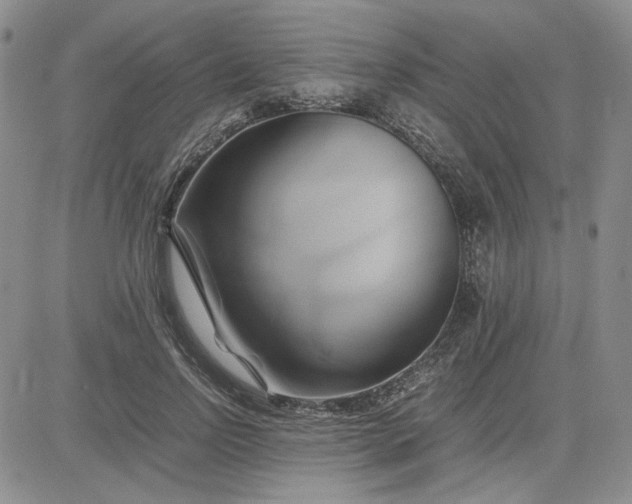 X0000083620742200702260953