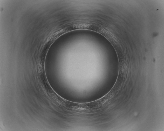 X0000083620743200702260953