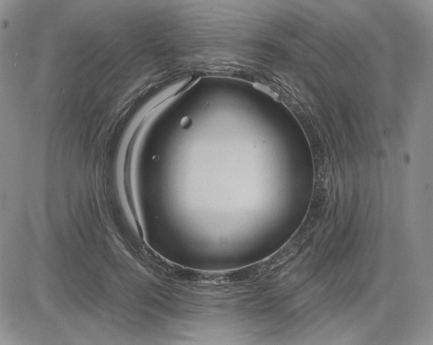 X0000083620744200702260953