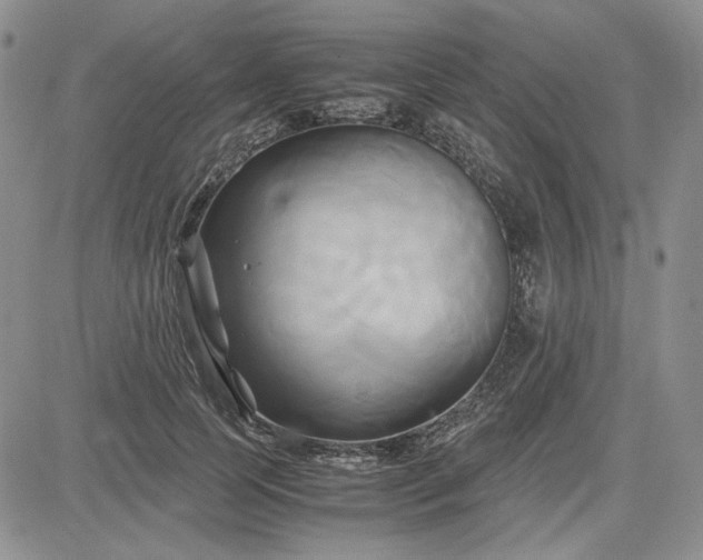 X0000083620745200702260953