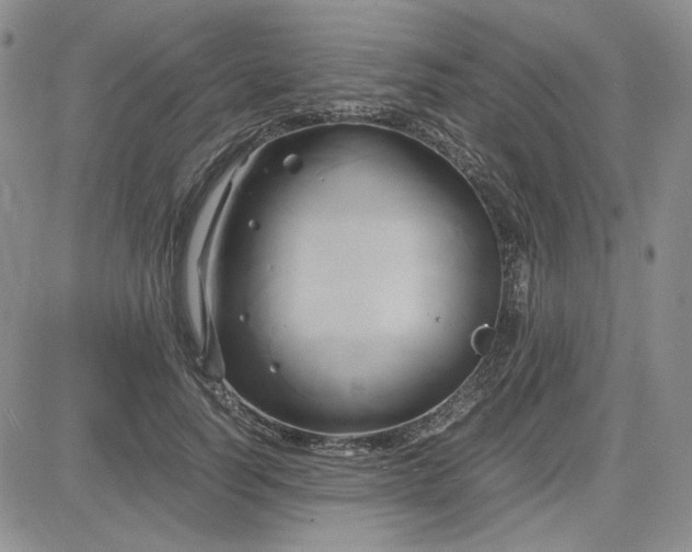 X0000083620746200702260953