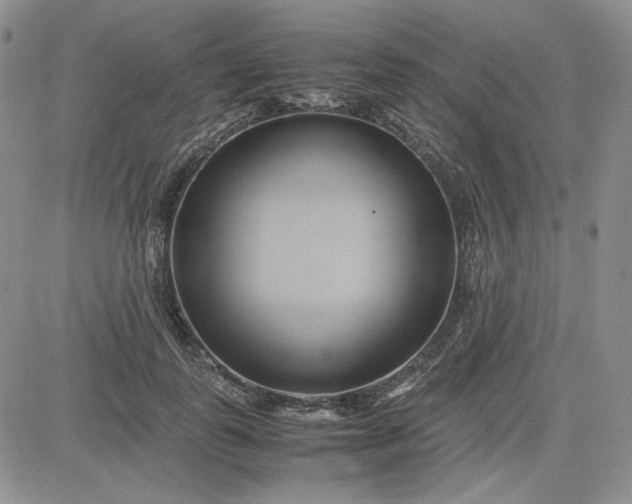 X0000083620747200702260953