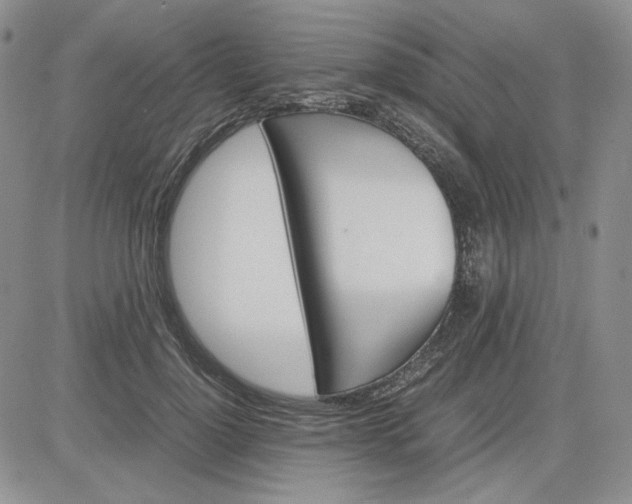 X0000083620748200702260953