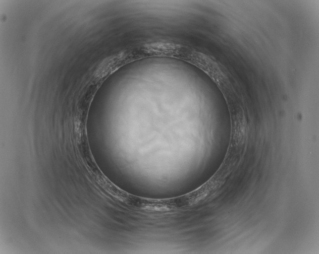 X0000083620749200702260953