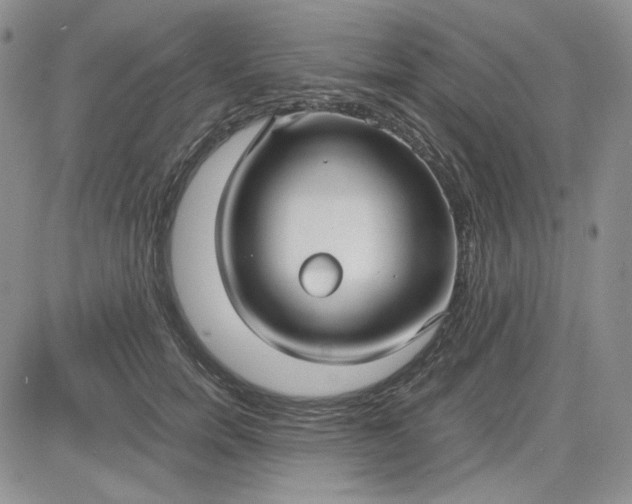 X0000083620750200702260953