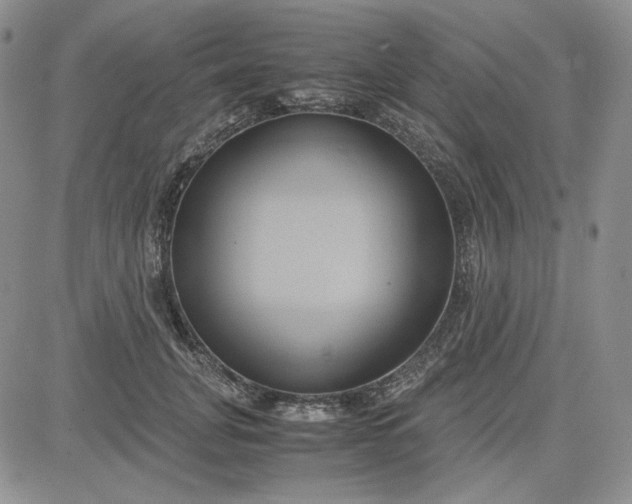 X0000083620751200702260953