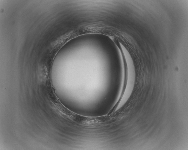 X0000083620752200702260953