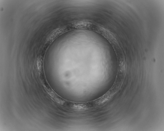 X0000083620753200702260953