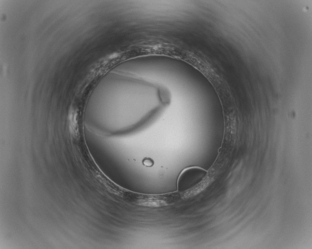 X0000083620754200702260953