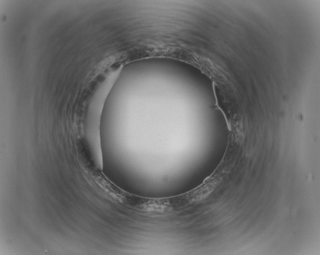 X0000083620756200702260953