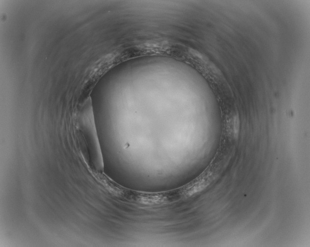 X0000083620757200702260953