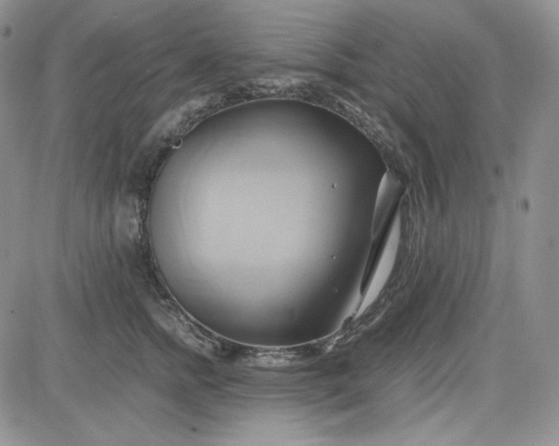 X0000083620758200702260953