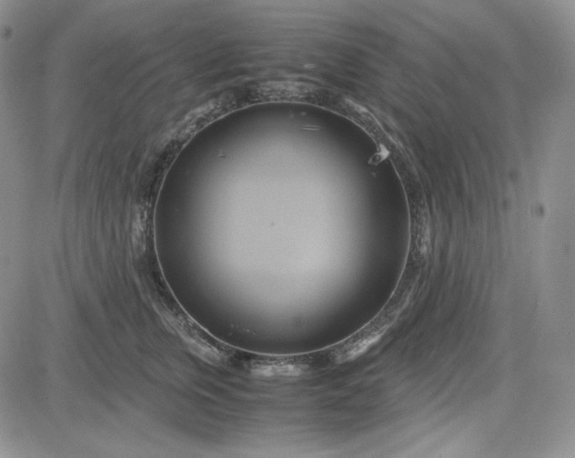 X0000083620759200702260953