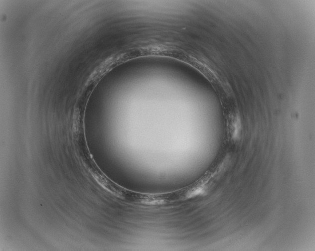 X0000083620760200702260953